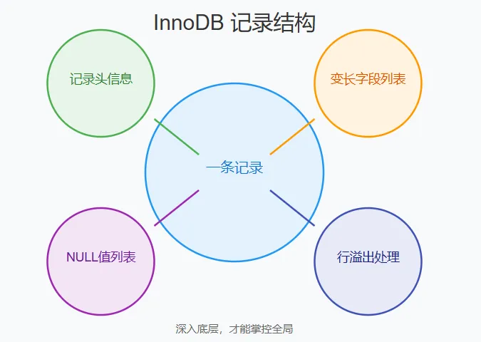 一条 INSERT 背后的秘密：揭开 InnoDB 记录结构的神秘面纱
