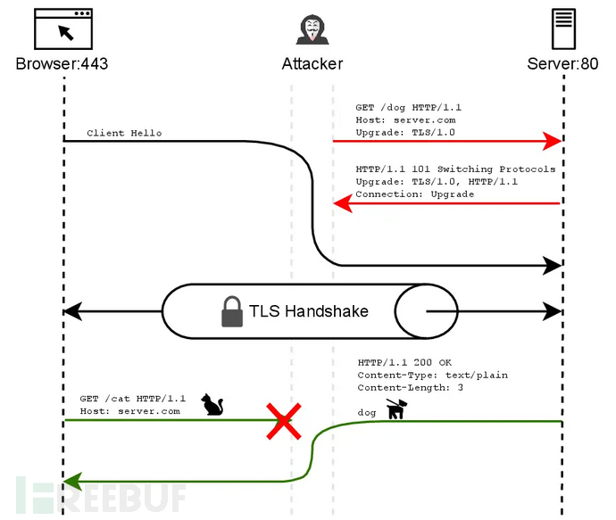 负鼠攻击：新型漏洞威胁 TLS 加密连接，可实施中间人攻击与数据注入