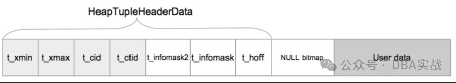 PostgreSQL核心揭秘—元组结构
