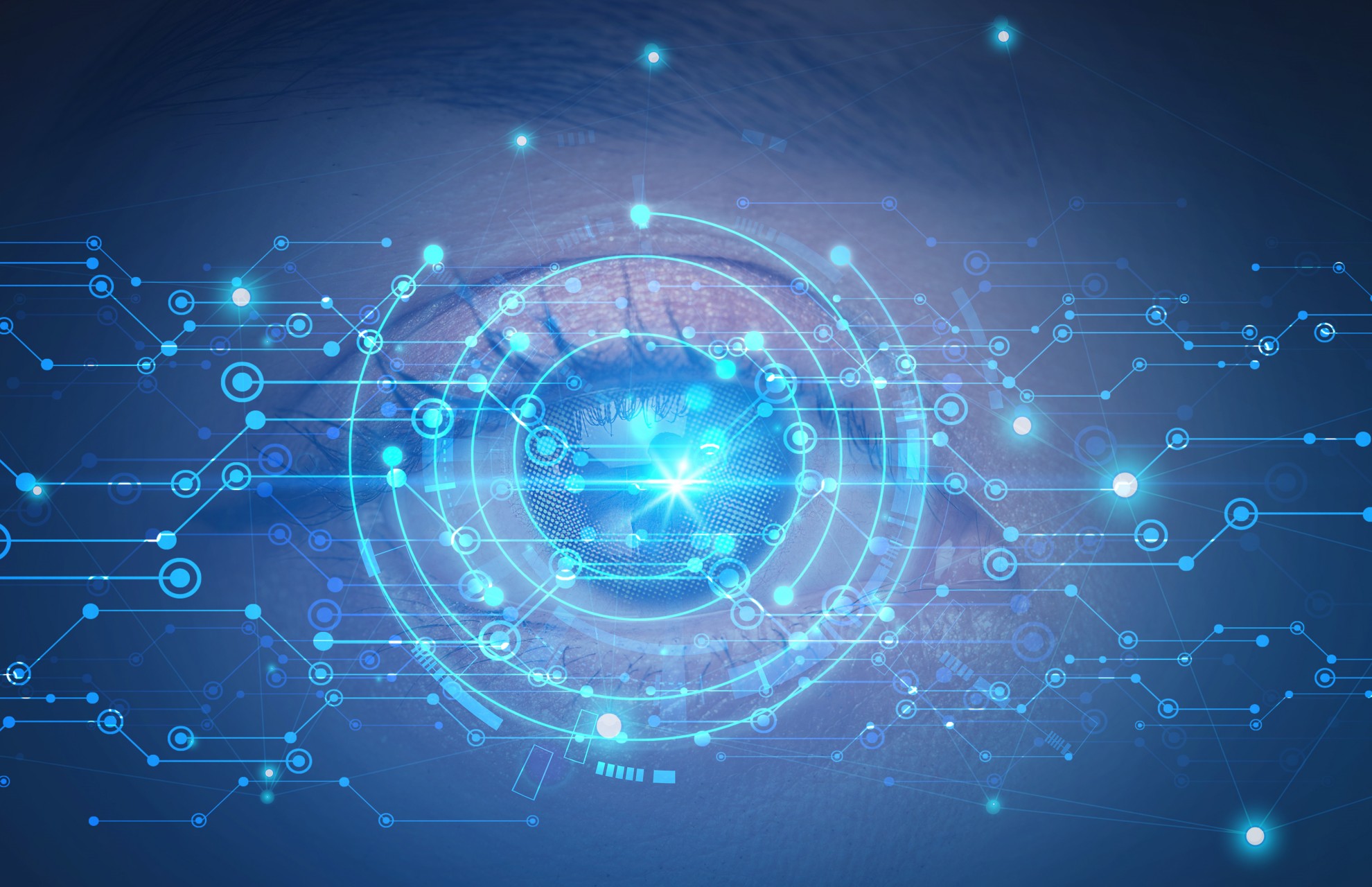 只学Python？2025年最赚钱的三种编程语言