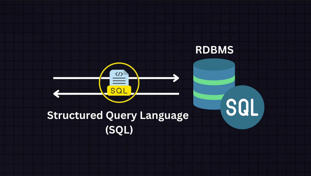 SQL数据库的初学者教程