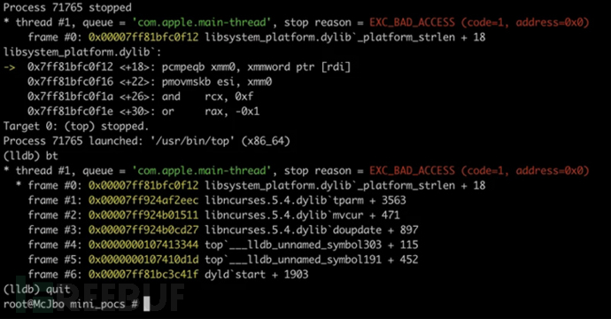 微软发现影响 Linux 和 macOS系统的 ncurses 库漏洞