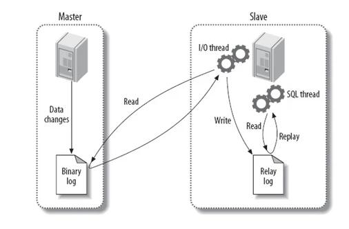 架构师必备：MySQL主从同步原理和应用