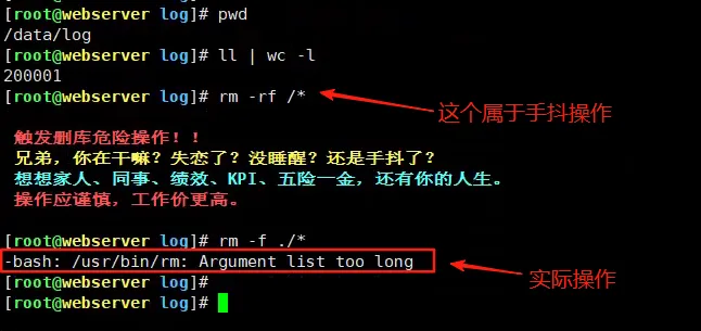 无法 rm 删除文件的四种解决方法，新手必备技能