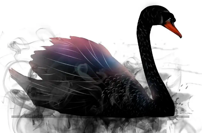 有关2021年网络黑天鹅事件的误解