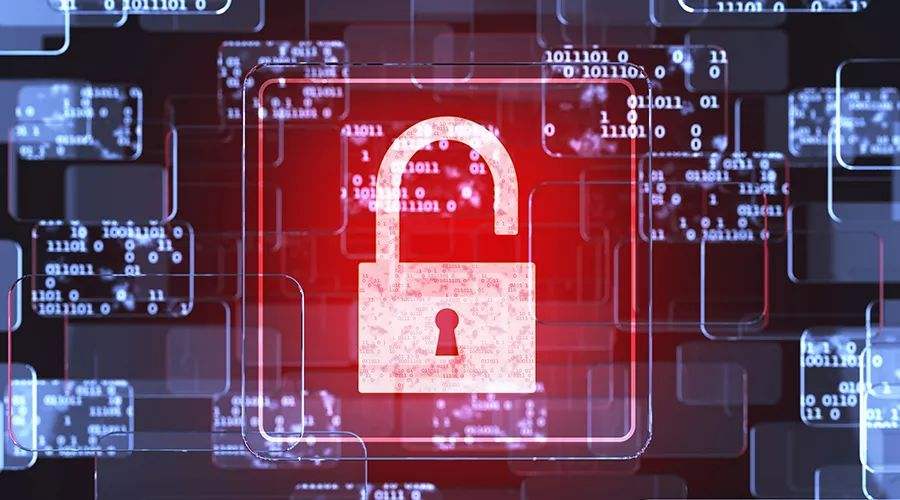 纽约82万名学生的个人数据被曝光