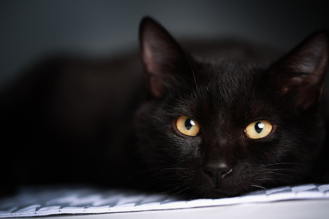 复杂危险的勒索软件 BlackCat 或将开启新的攻击模式