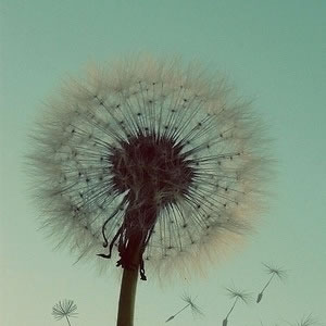 CFCA医疗行业数字化综合解决方案：安全筑基，合规致远