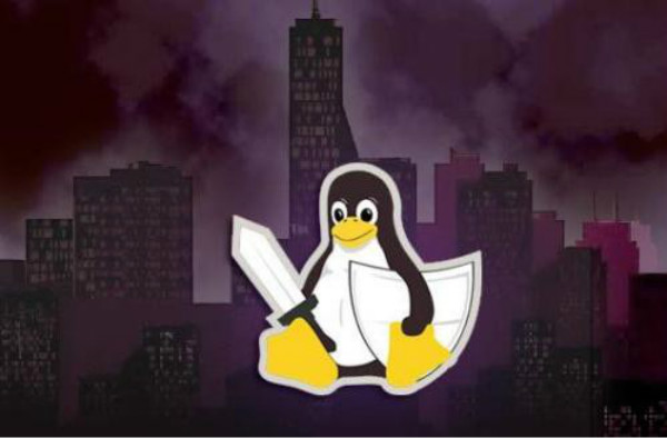 如何在Linux中查看磁盘分区信息?