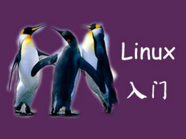 Linux系统文件学习内容多吗？