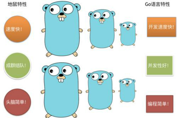 go与其他语言有什么区别？为什么学习go语言？